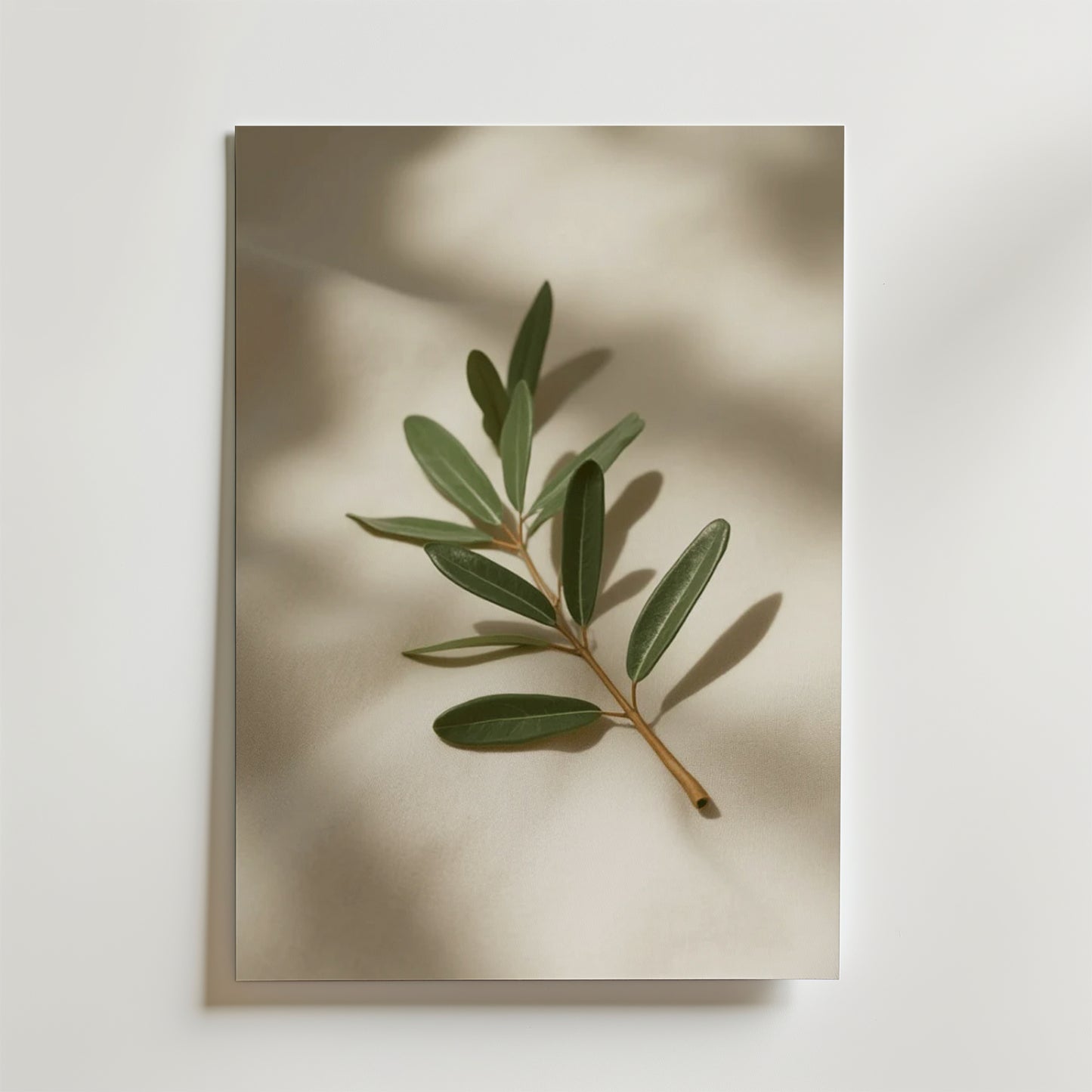 Olive branch decor stem poster