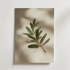 Bozetto Olive Branch Decor Stem Poster föreställer en grön gren med blad mot en ljus bakgrund och mjuka skuggor - perfekt för att skapa en harmonisk atmosfär i rummet.