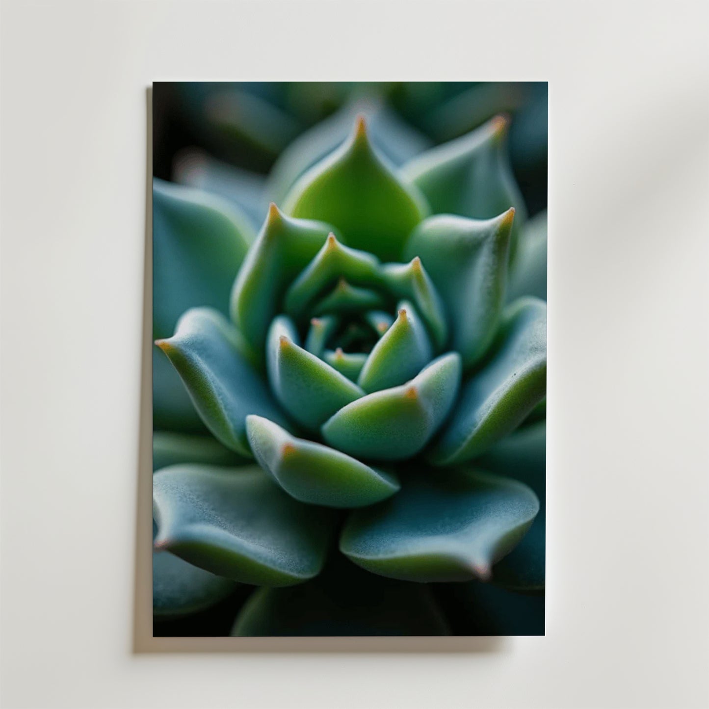 Nature's Geometry Poster
