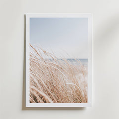 Coastal Breeze Poster
