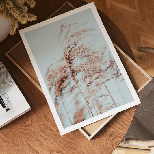 Coastal Breeze Poster