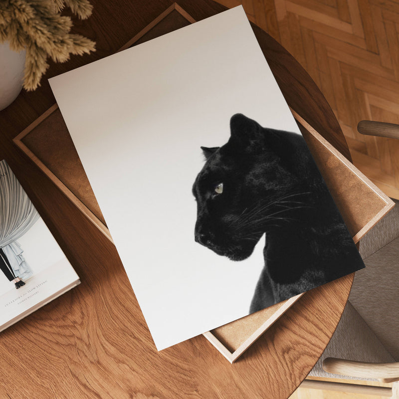 Midnight Panther Poster