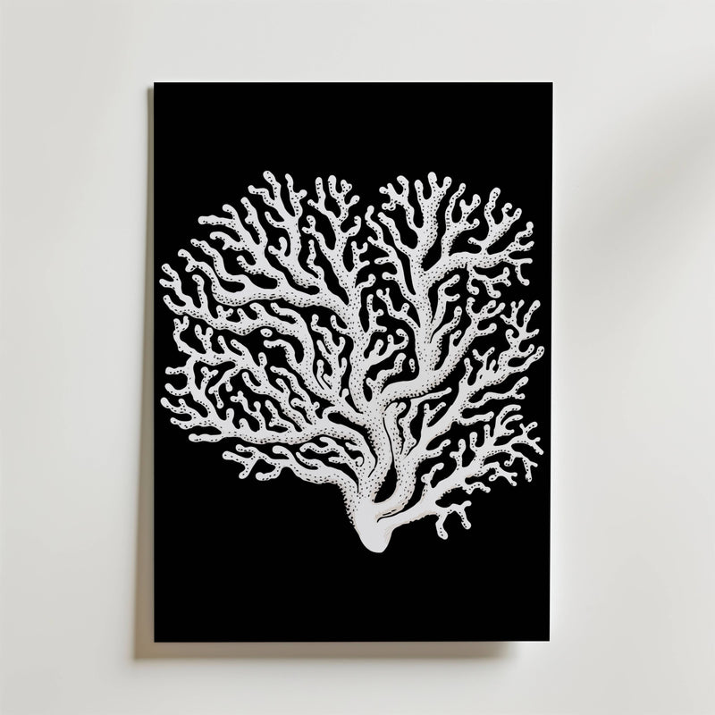 Coral Contrast Poster