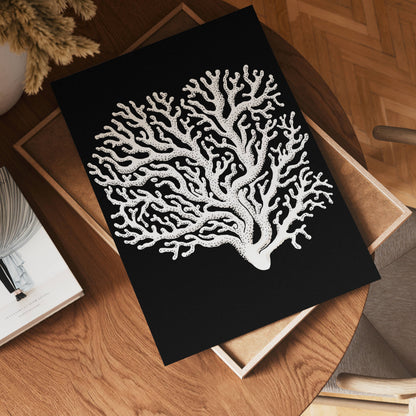 Coral Contrast Poster