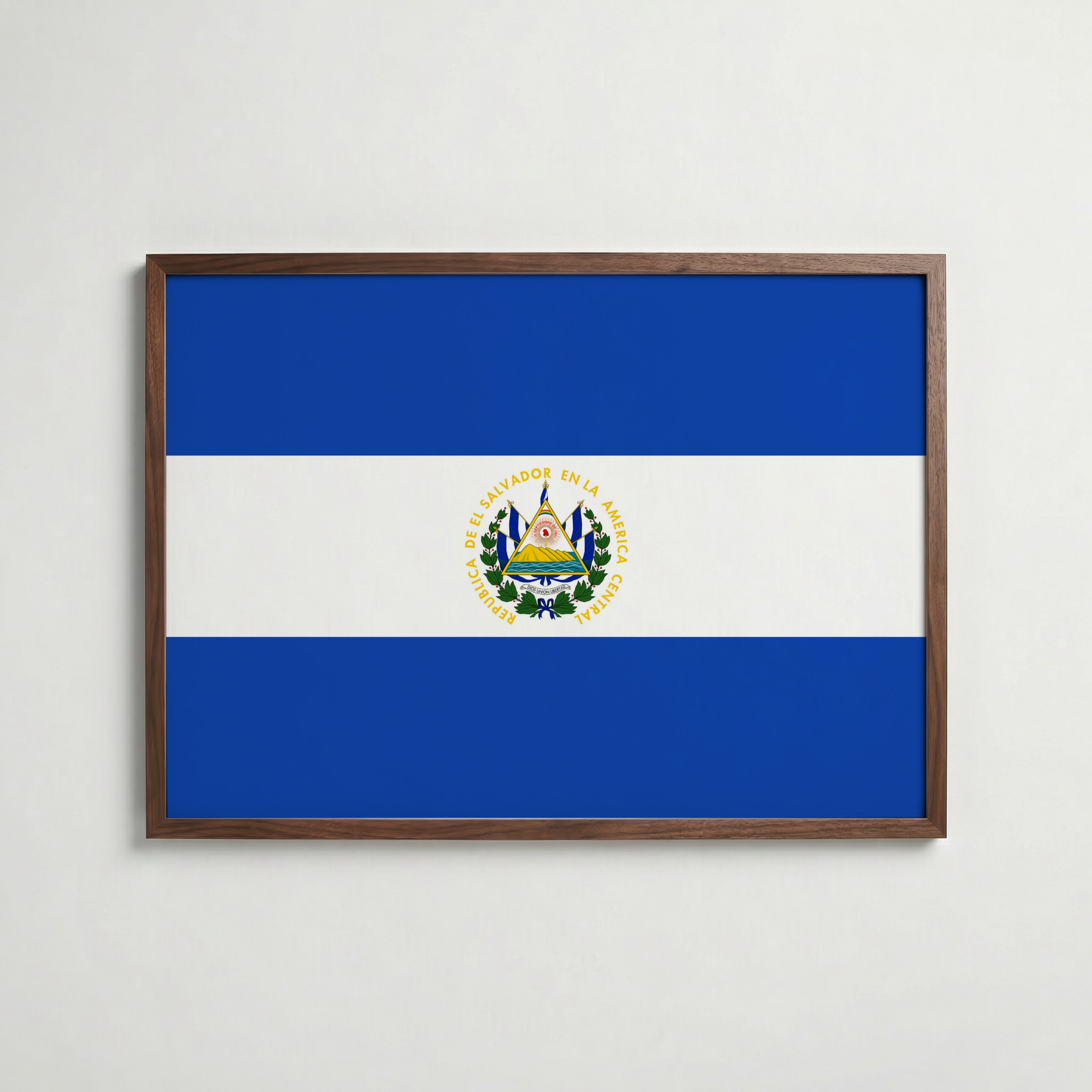 El Salvador National Flag Poster poster – väggdekoration för hemmet – köp hos Bozetto