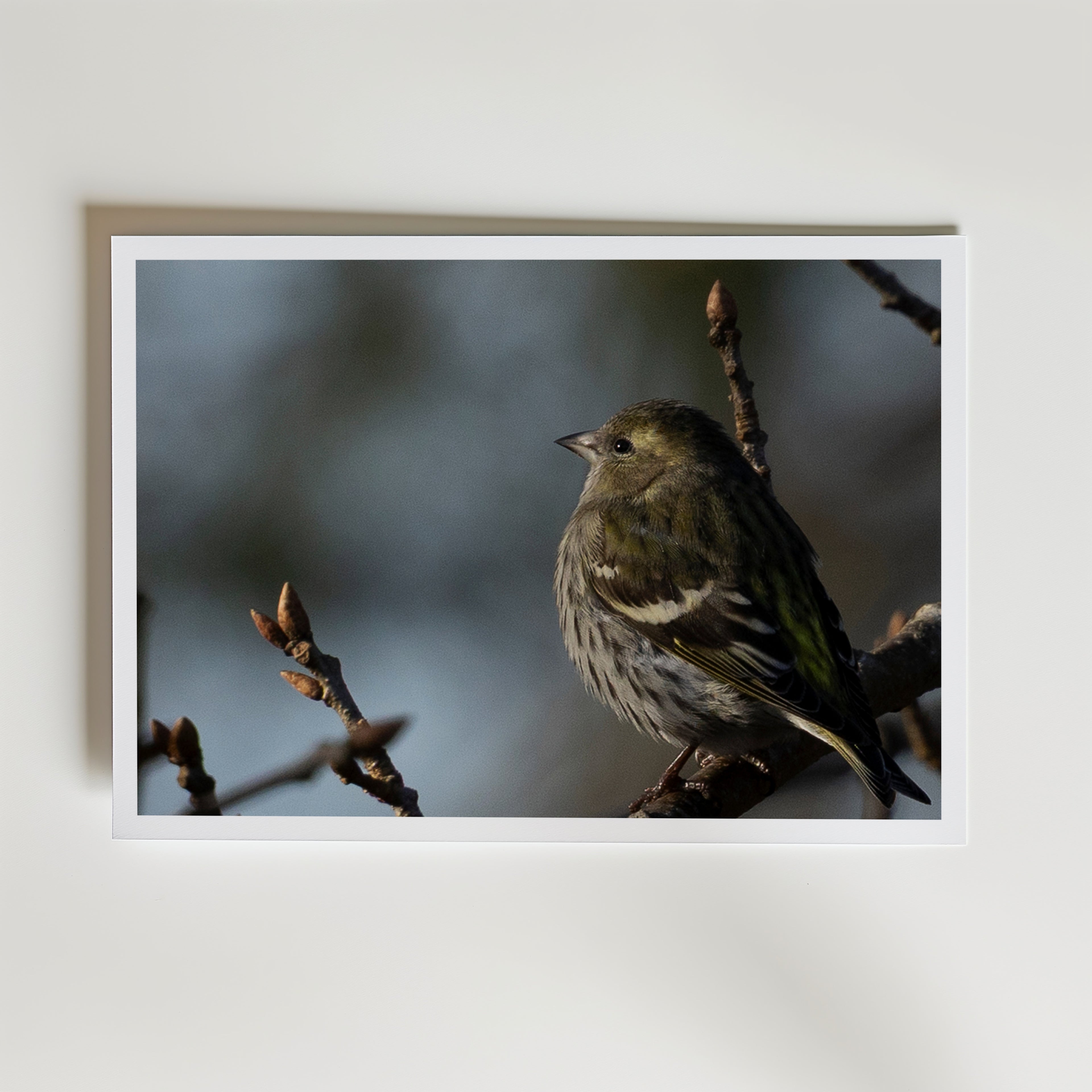 Peaceful Poster