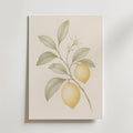 Sunlit Citrus affisch inramad i neutral ram – se hur konsttrycket ser ut, Bozetto