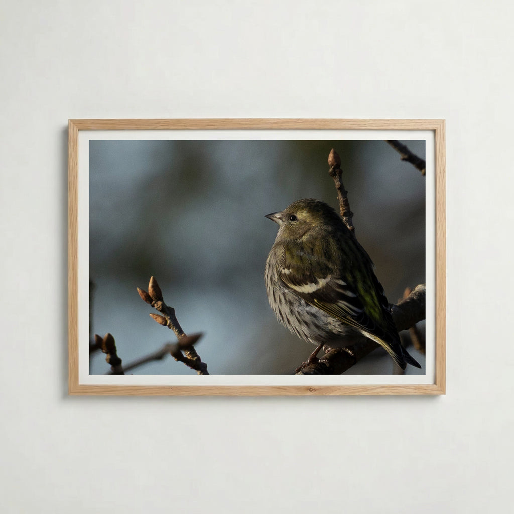 Peaceful Poster