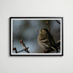 Peaceful Poster