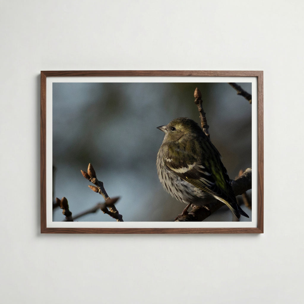 Peaceful Poster