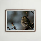 Peaceful Poster