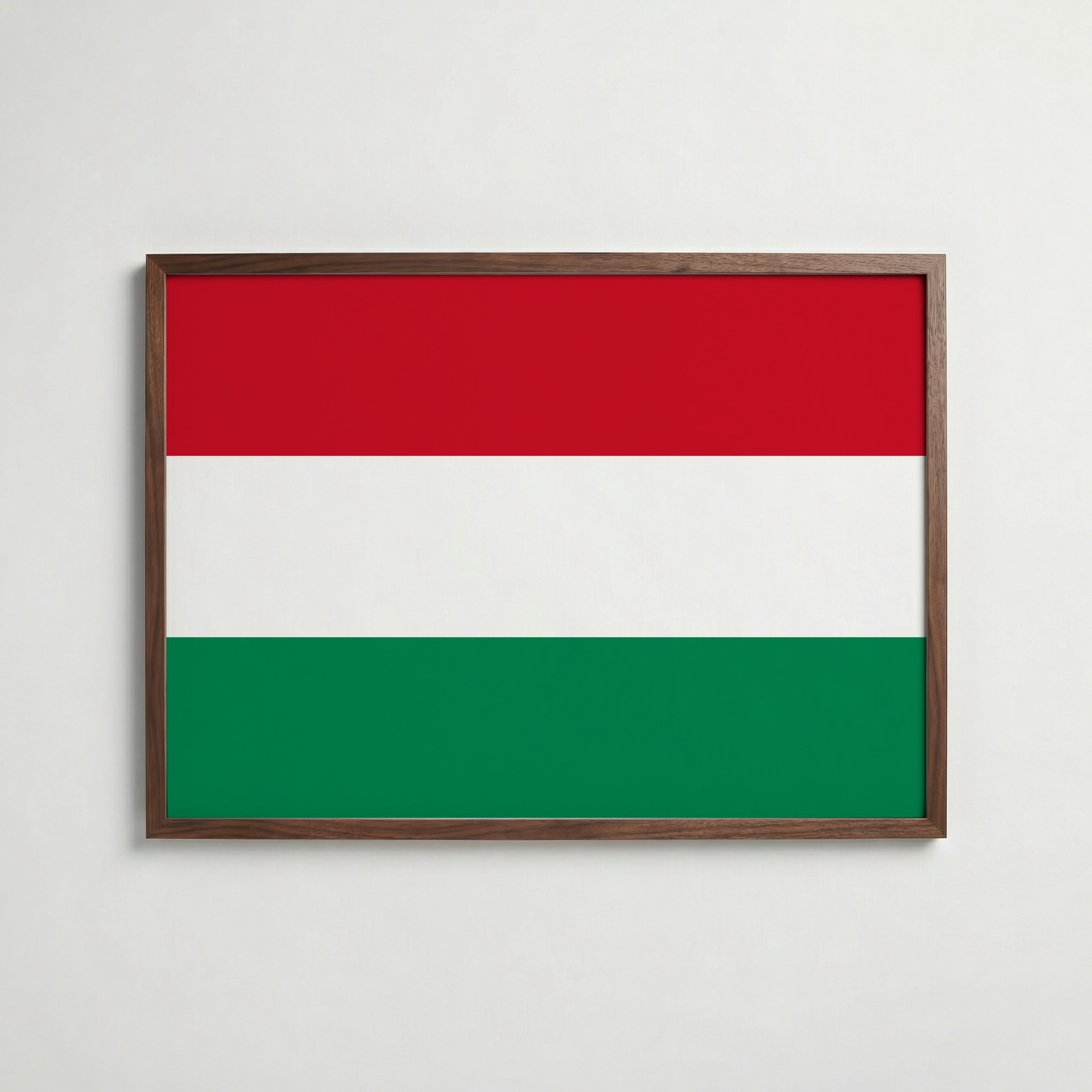 Hungary National Flag Poster poster – väggdekoration för hemmet – köp hos Bozetto