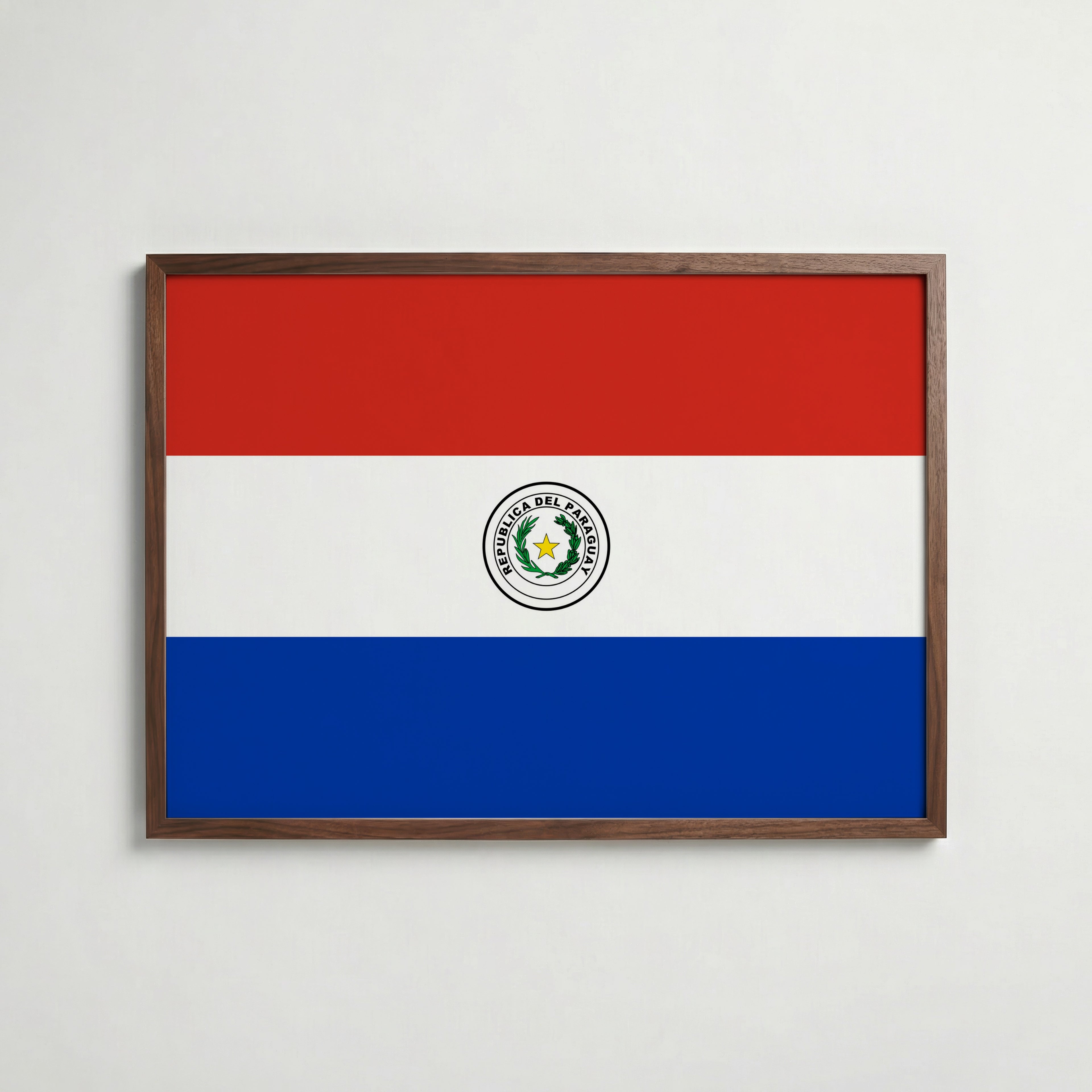 Paraguay National Flag Poster poster – väggdekoration för hemmet – köp hos Bozetto