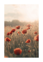 Echoes of Summer Poster