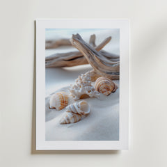 Bozetto Seashells on the Beach Poster föreställer snäckskal och drivved på slät sand, inramad i vitt och tryckt på FSC-certifierat premiumpapper för en högkvalitativ finish.