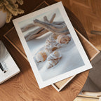 Seashells on the Beach Poster