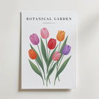 Aurora Tulip Garden Poster affisch – poster till väggdekoration – köp online hos Bozetto