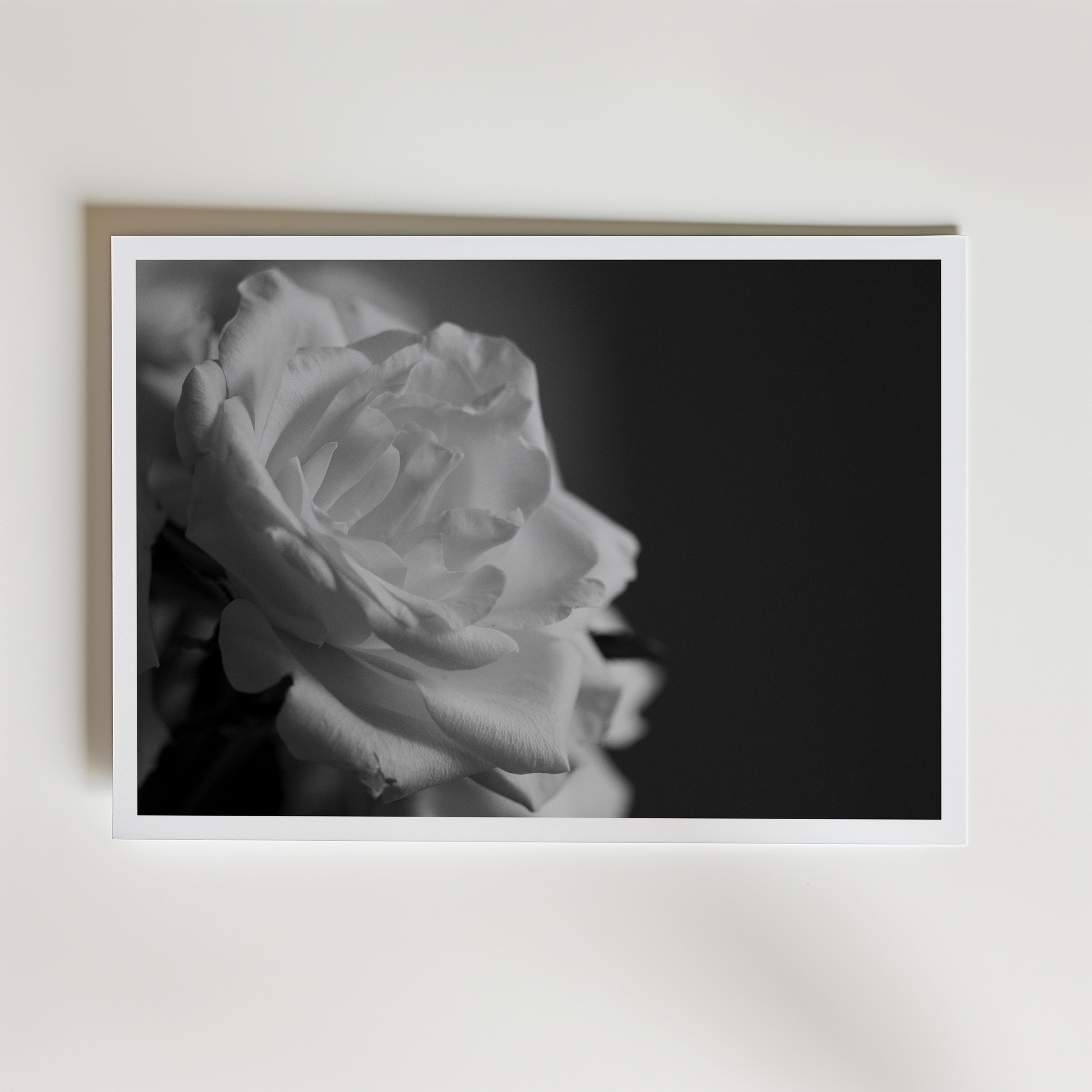A Scent Of A Rose affisch inramad i neutral ram – konsttryck från Bozetto – nr 1