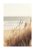 Dune Grass by the Sea Poster