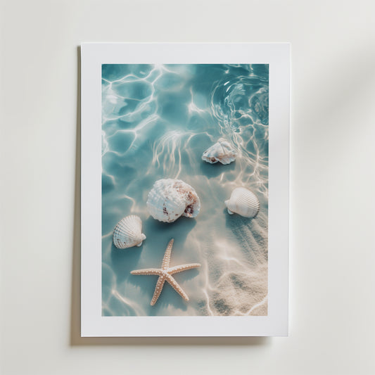 Starfish and Shells Beach Poster