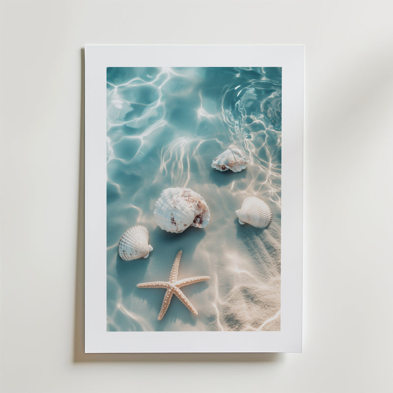 Starfish and Shells Beach Poster