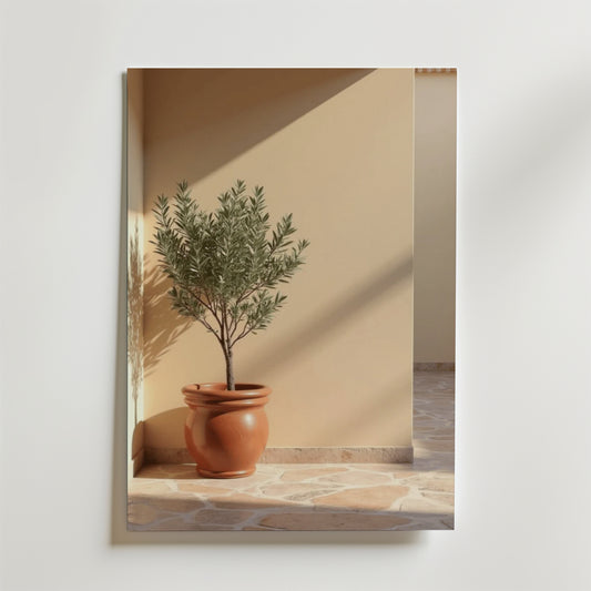 Terracotta planter with olive tree poster