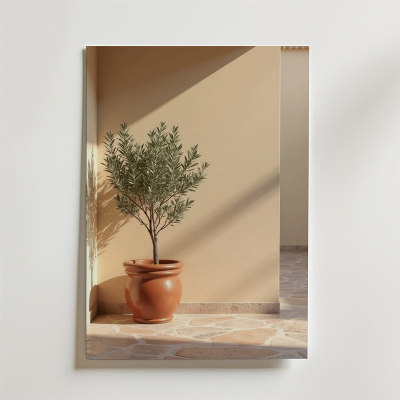 Terracotta planter with olive tree poster