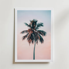 Sunset Palm Dream Poster