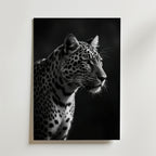 Precious Tiger Poster från Bozetto föreställer en svartvit tiger som blickar åt höger, med sina slående ränder mot en mörk bakgrund. Affischen är tryckt på FSC-certifierat premiumpapper med lyxigt matt yta och hänger i en enkel ram på en enfärgad vägg.