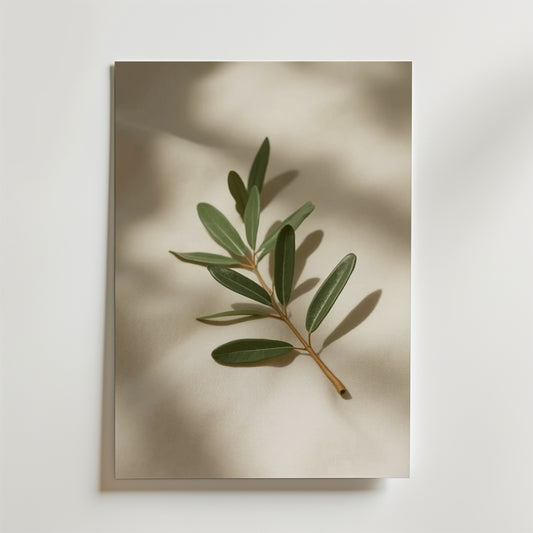 Olive branch decor stem poster