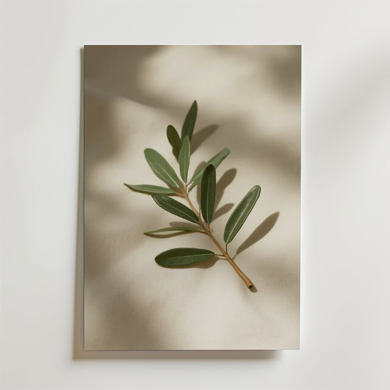 Olive branch decor stem poster