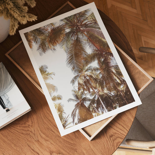 Palm Breeze Skies Poster