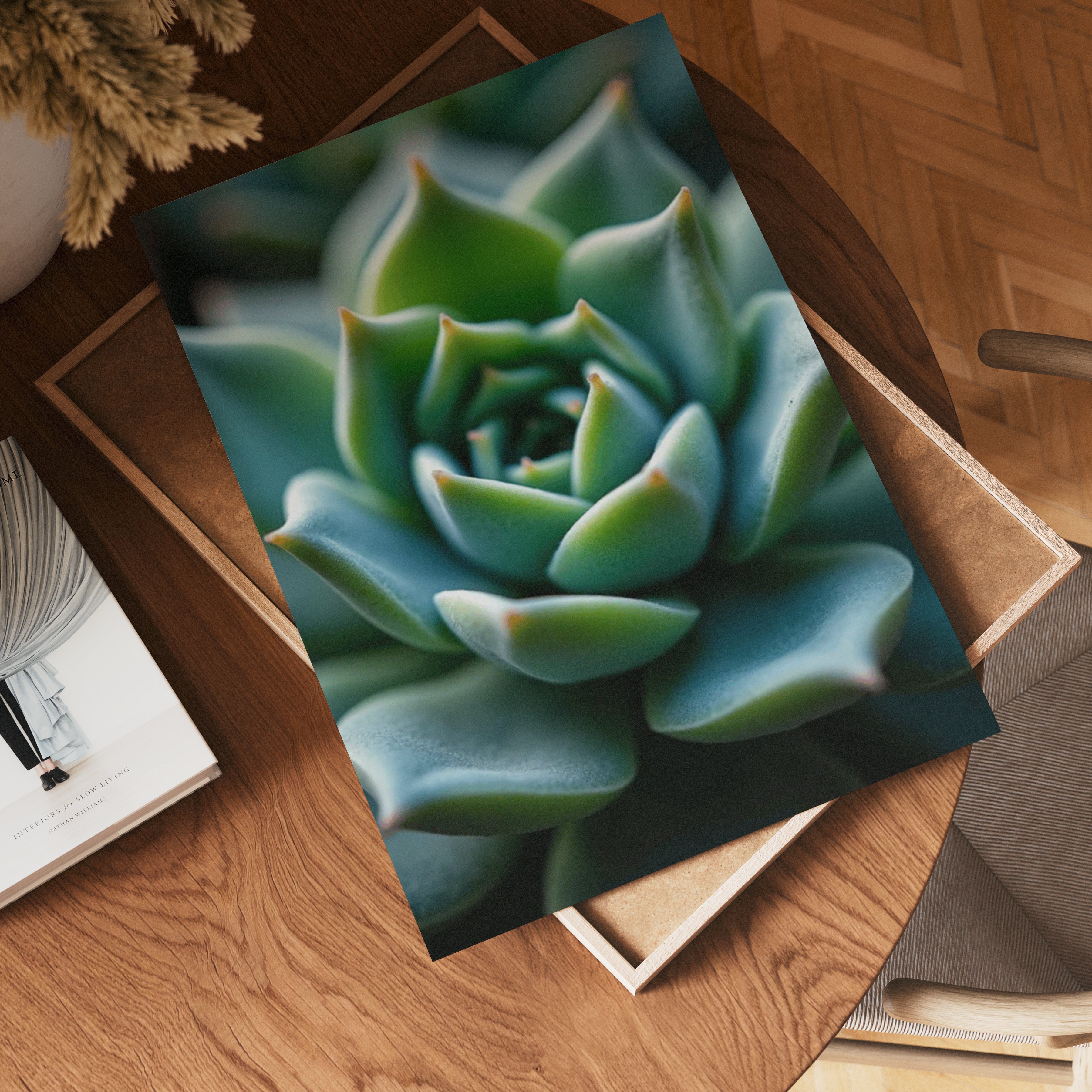 Nature's Geometry Poster