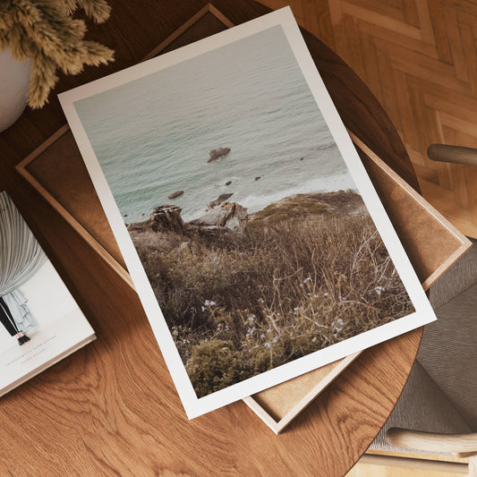 Wild Coastline Vista Poster