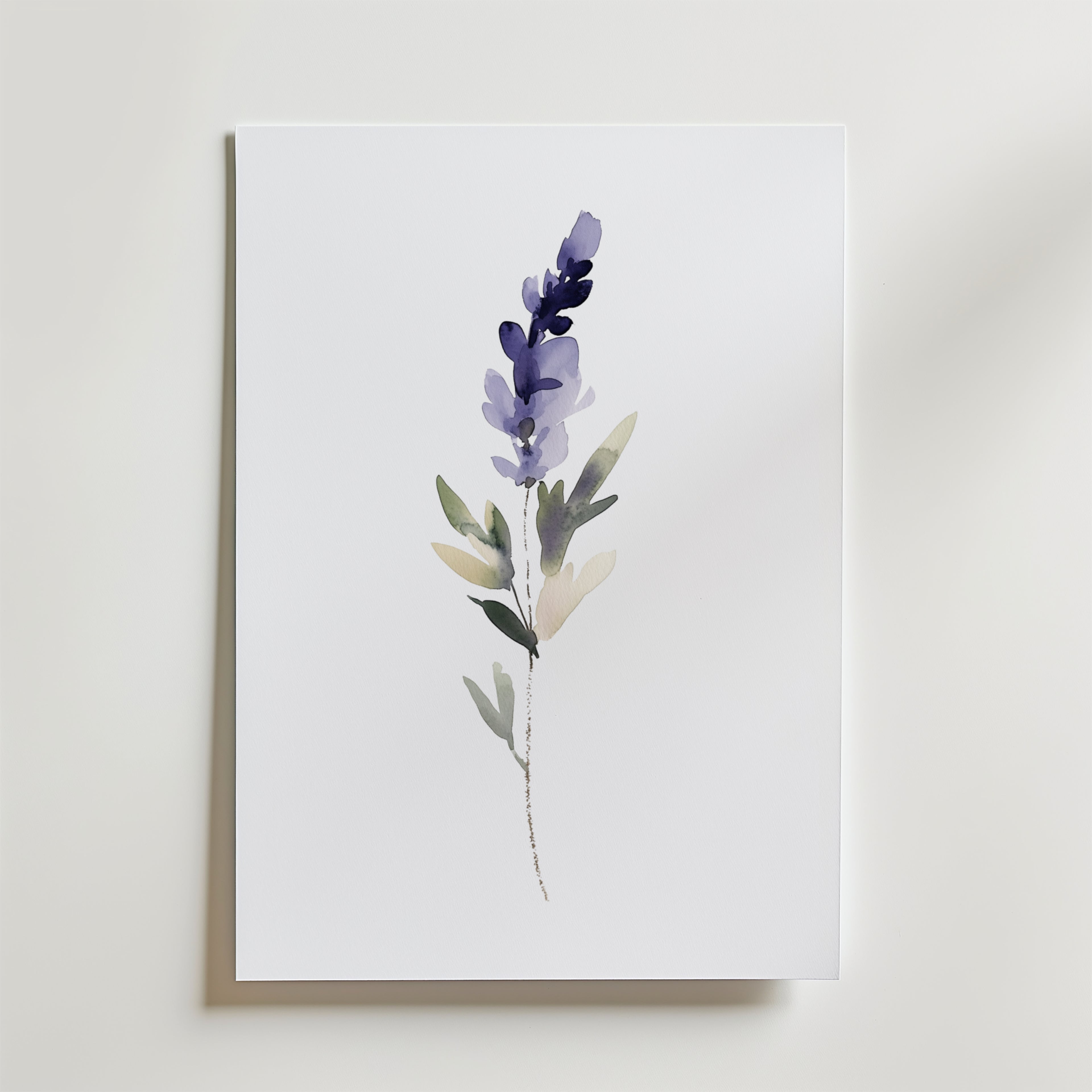 Bozetto Watercolor lavender Poster föreställer en minimalistisk lavendelkvist med gröna blad på vit botten, tryckt på FSC-certifierat premiumpapper med en lyxigt matt yta, vackert upphängd på canvas.