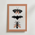Nocturnal Trio Poster by Bozetto har minimalistiska svart-beige illustrationer av nattens väsen - en fladdermus, en fjäril och en skalbagge - på en vit bakgrund med en dovt brun kant.