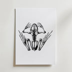 Bozetto Silent Scream Skeleton Poster har en dramatisk svartvit teckning av ett grodskelett med utsträckta lemmar, där skalle, revben och ryggrad visas tydligt på en vit bakgrund.