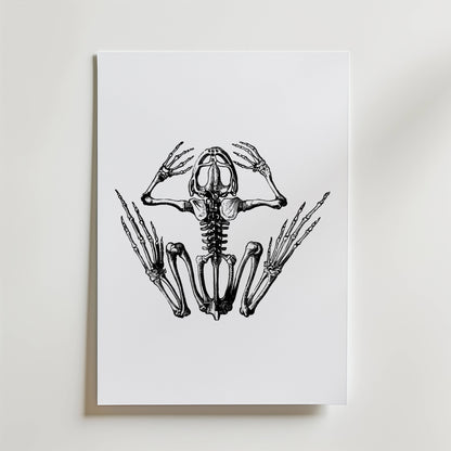 Bozetto Silent Scream Skeleton Poster har en dramatisk svartvit teckning av ett grodskelett med utsträckta lemmar, där skalle, revben och ryggrad visas tydligt på en vit bakgrund.