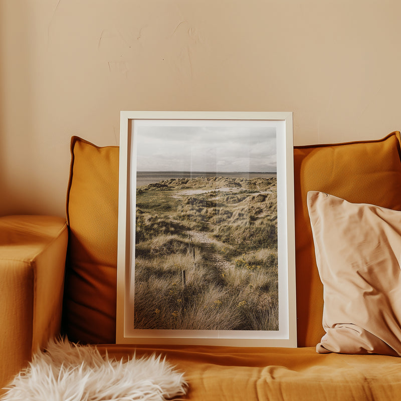 Coastal Dunes Path Poster