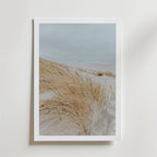 Windy Coast Dunes Poster