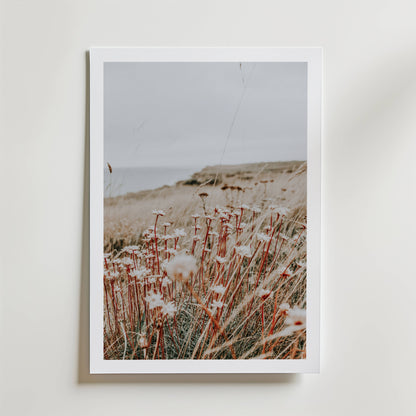 Rustic Meadow Poster
