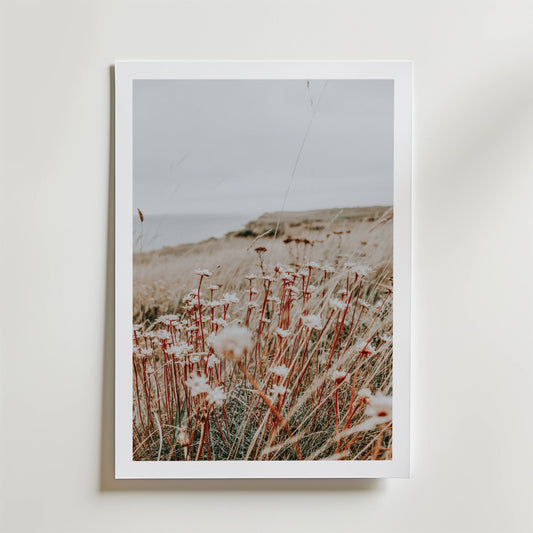 Rustic Meadow Poster