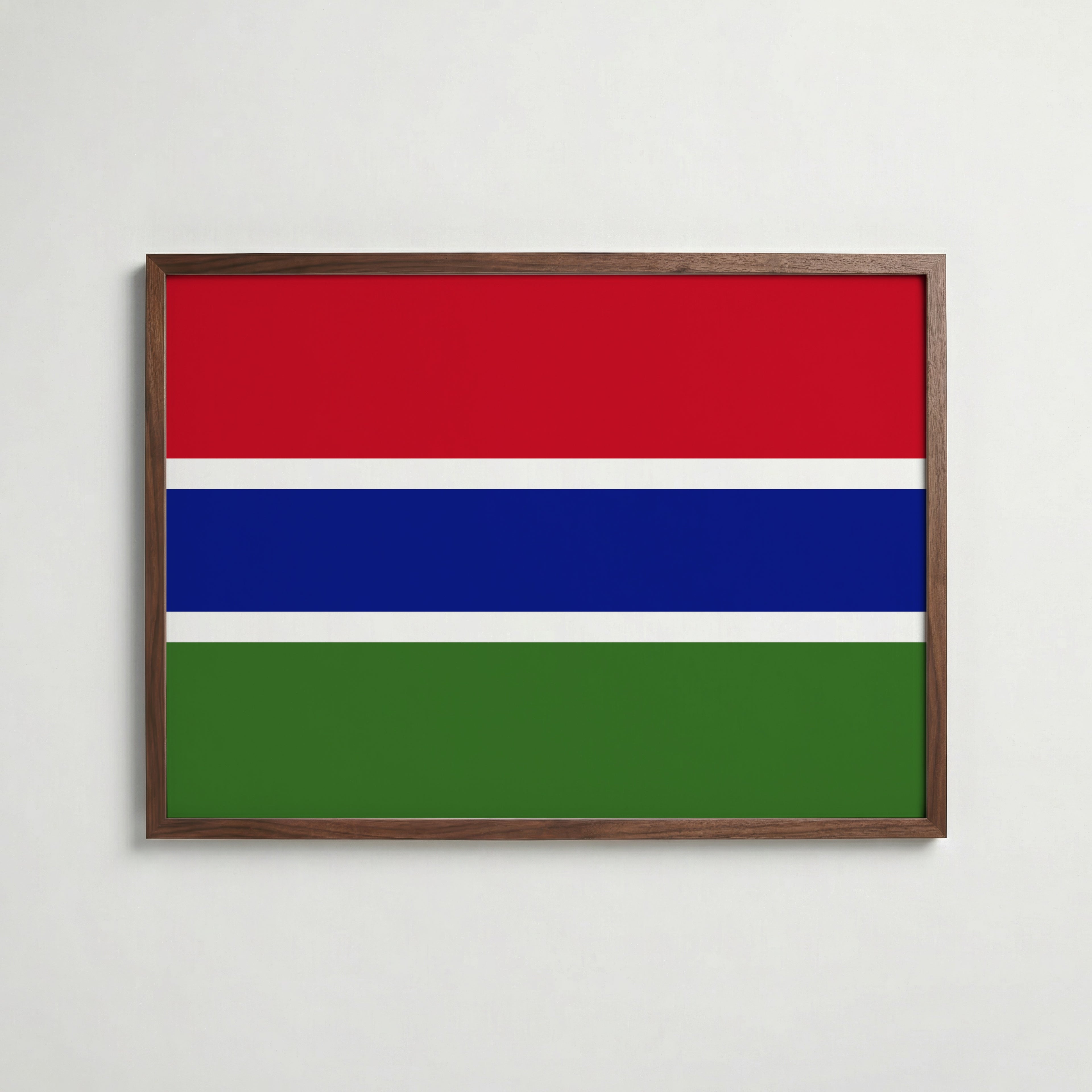 Gambia National Flag Poster poster – väggdekoration för hemmet – köp hos Bozetto
