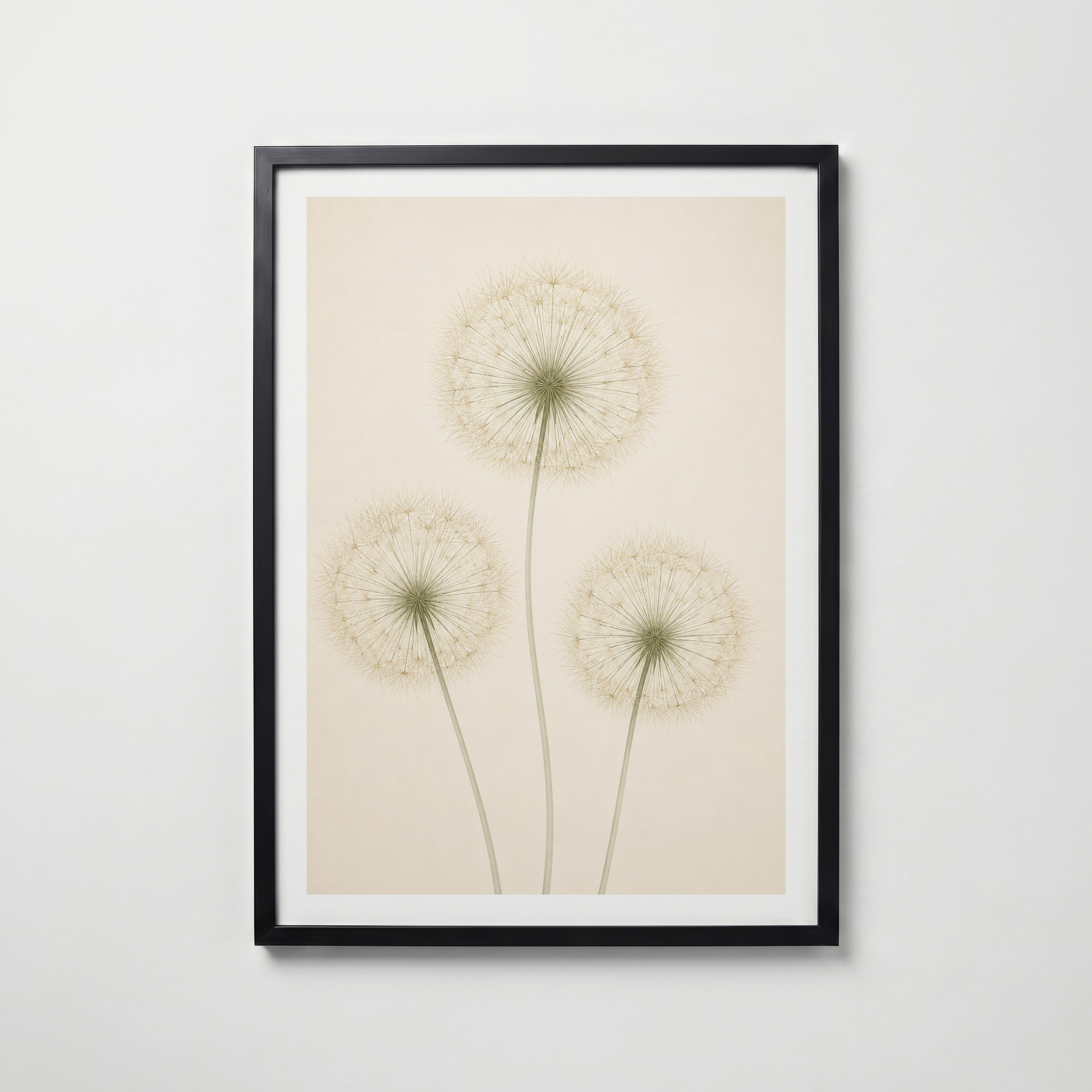 Quiet Dandelion Trio i svart ram på vägg – köp enkelt hos Bozetto affisch i hög kvalitet