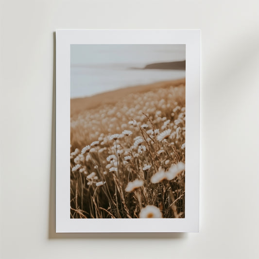 Faded Daisy Bloom Poster