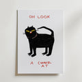 Oh Look Cat Poster