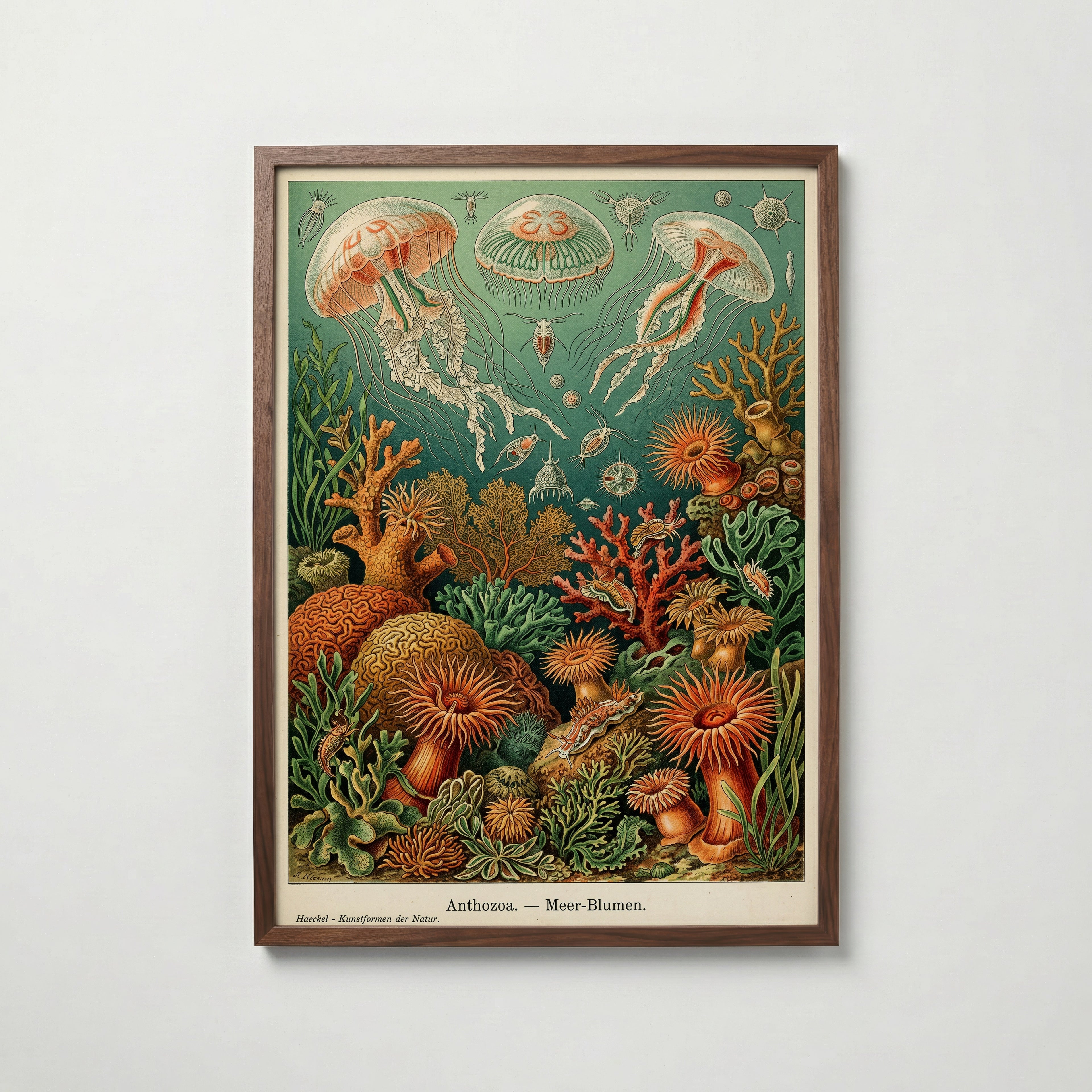 Deep Sea Bloom Poster i vardagsrumsmiljö