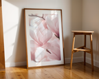 Blush Pink in Bloom Poster