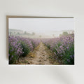 Lavender Field Poster