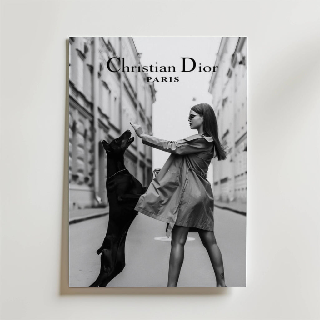 Christian Dior Paris Poster
